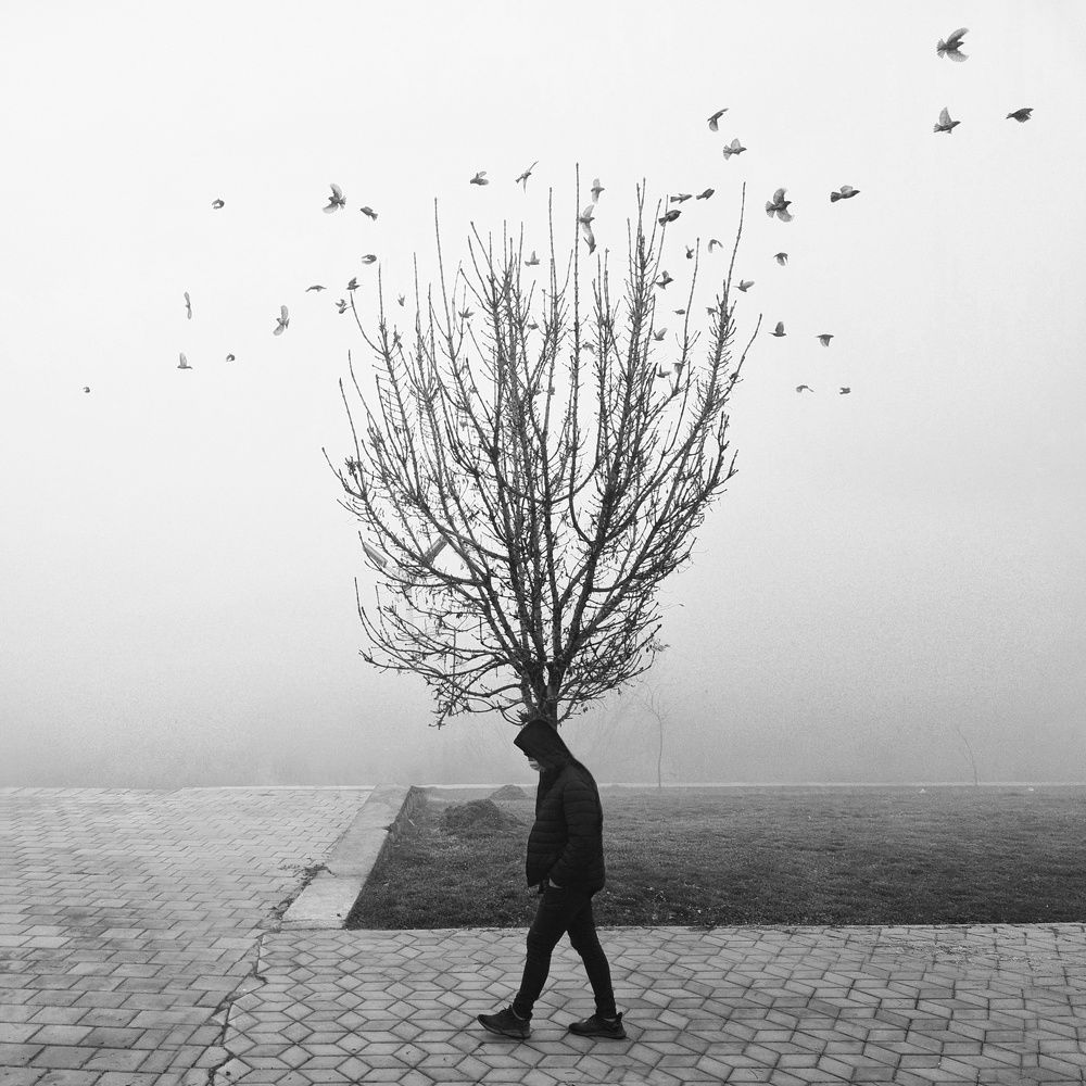 Photograph by Mohammad Jalilzadeh