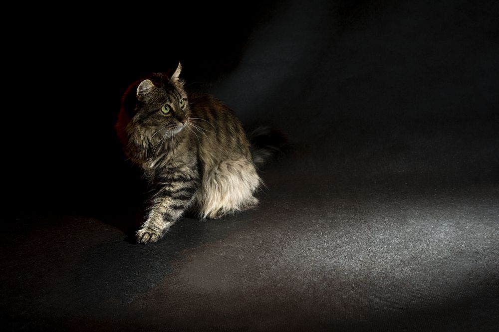 Photograph by Виктор Степанов