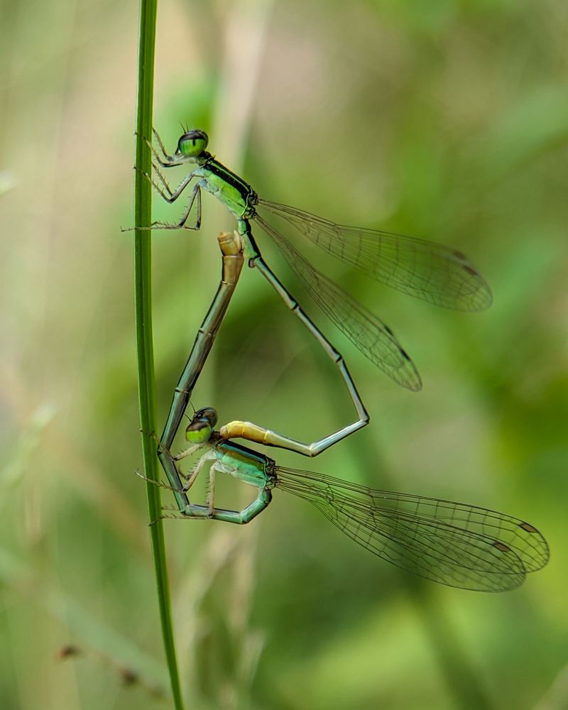 Photograph by Ajeesh A