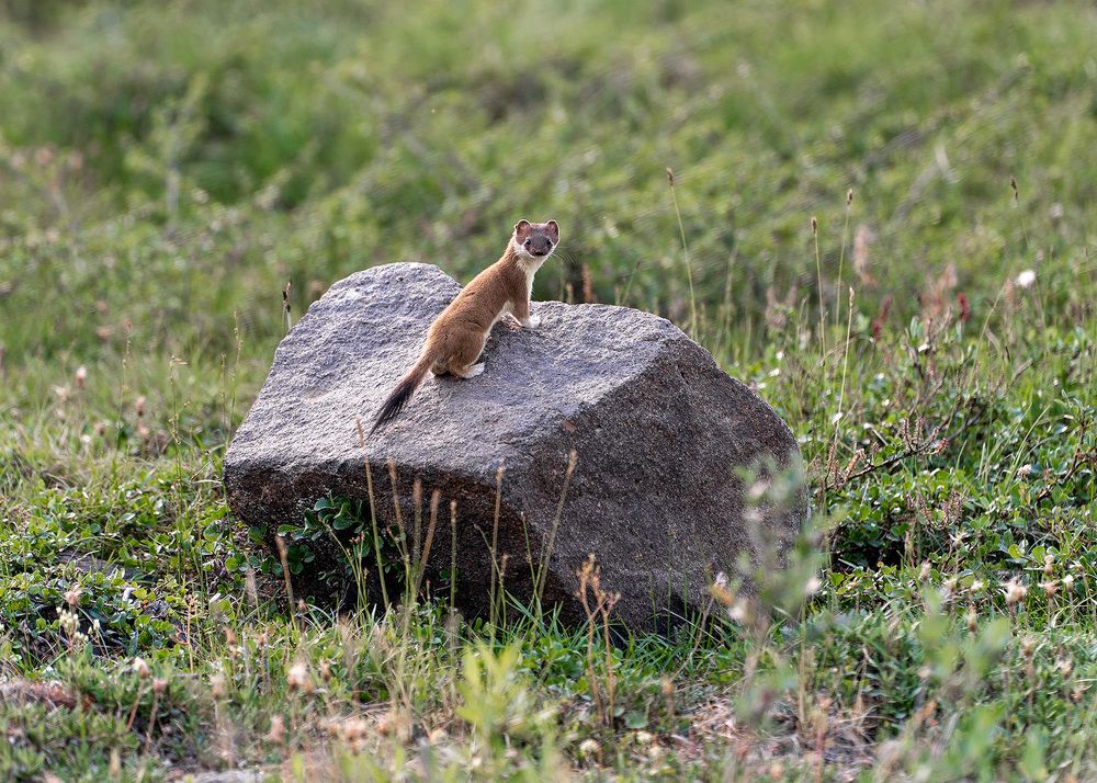 Photograph by Юрий Харченко