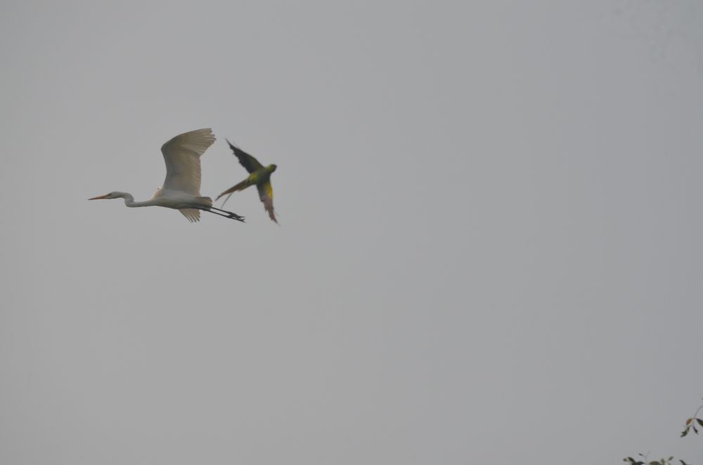 Photograph by Saugata Mandal