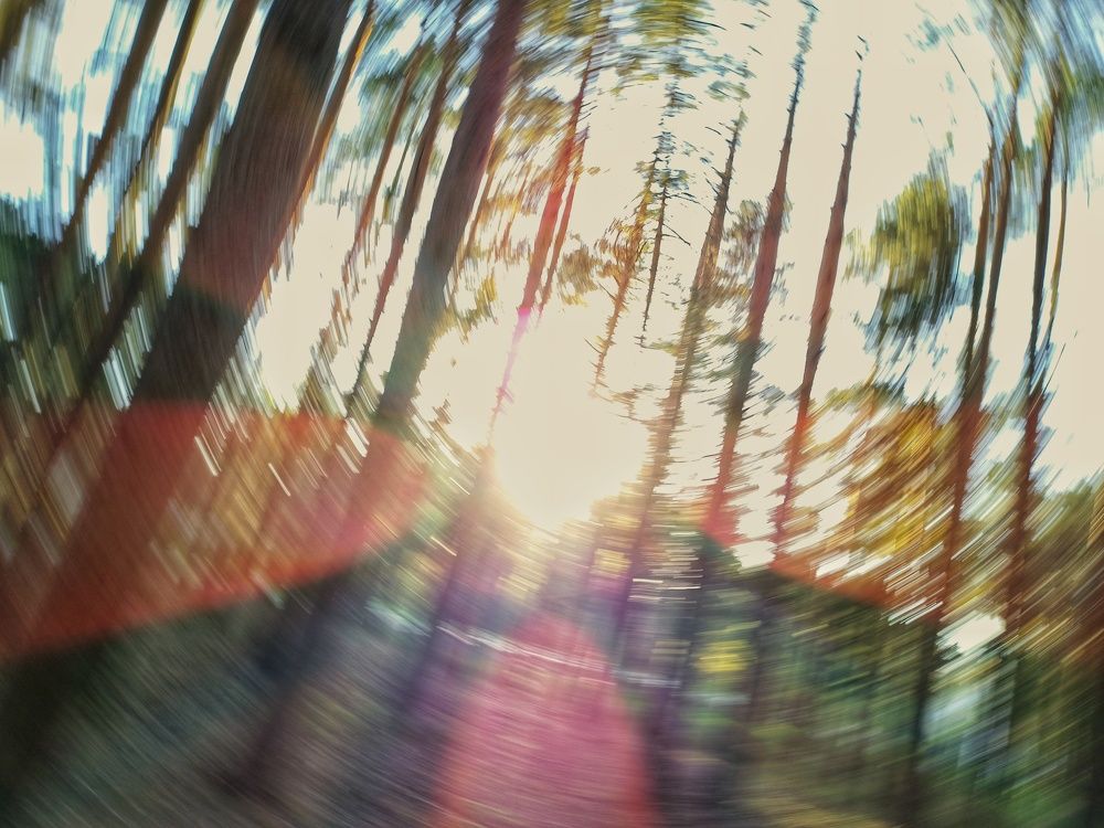 Photograph by Марина Рукавичко