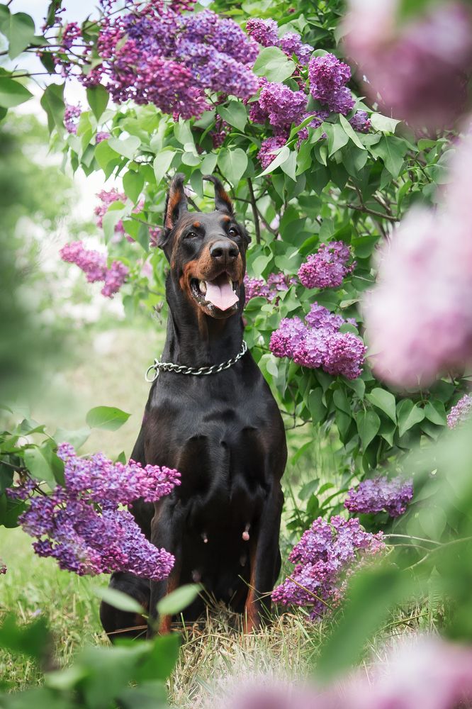 Photograph by Виктория Мамаева