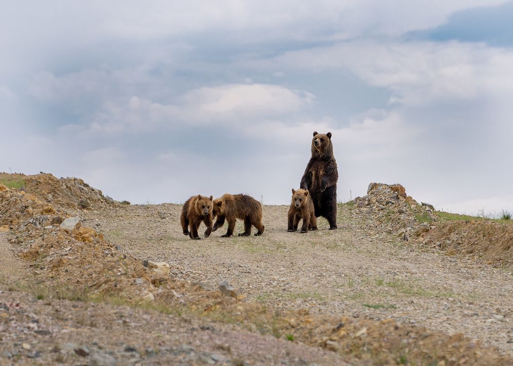Photograph by Юрий Харченко