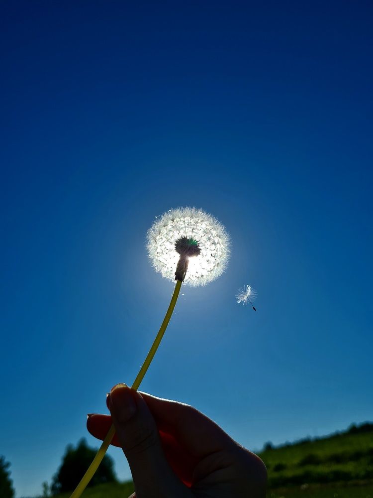 Photograph by Мария Шамина