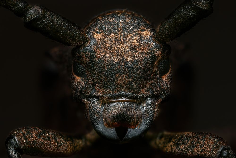 Photograph by Глеб Коровко