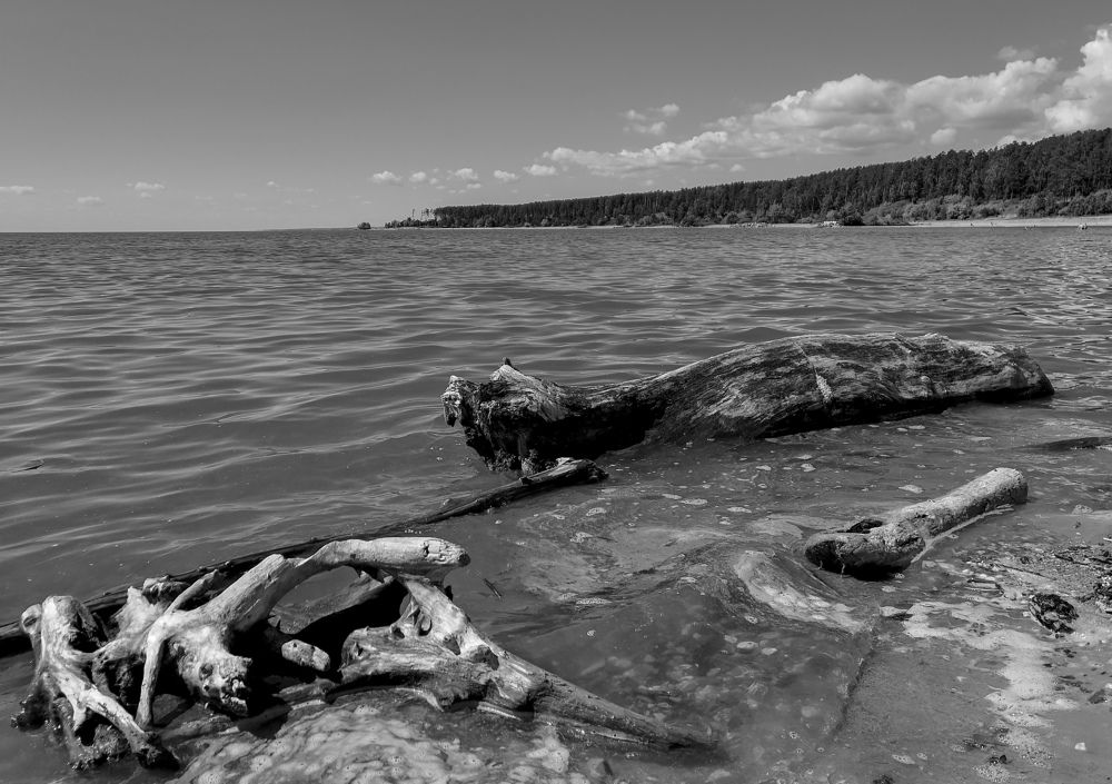 Фотография автора Андрей Данильсон