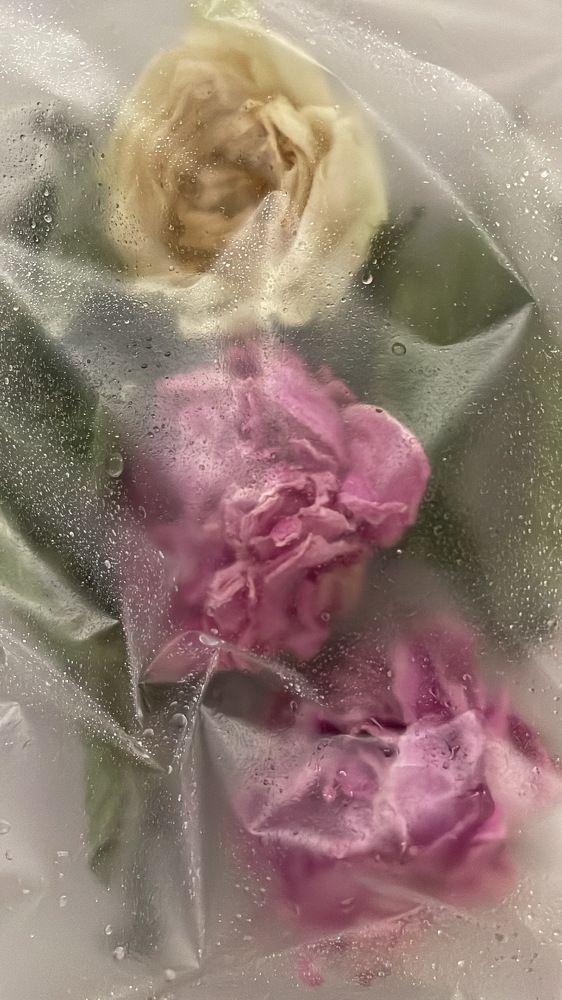 Photograph by Ольга Беспалько