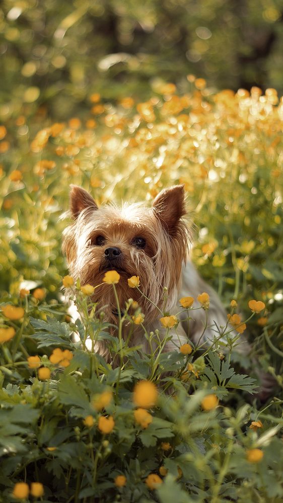 Photograph by Ольга Ивченко
