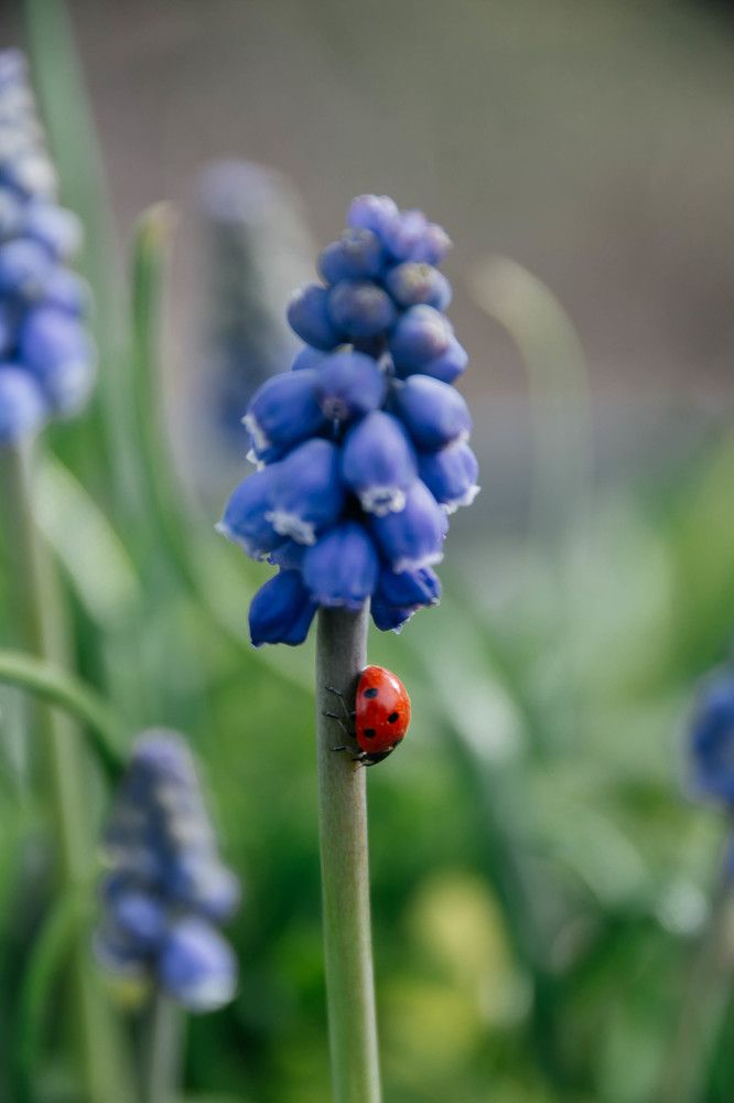 Photograph by Олеся