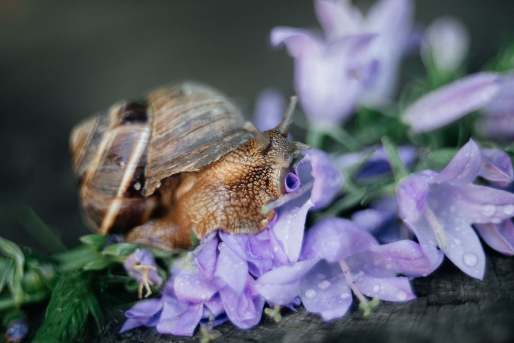 Photograph by Олеся