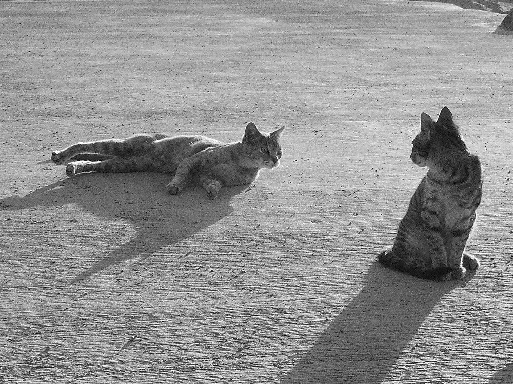 Photograph by Игорь