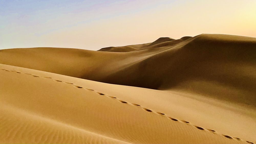 Photograph by Mahnaz Jafari