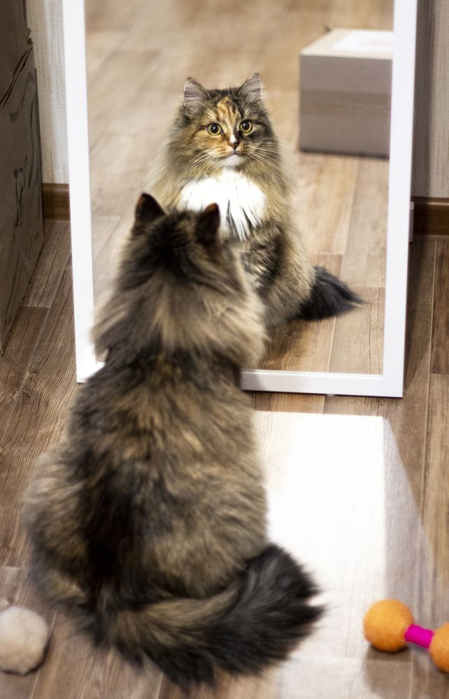 Photograph by Маргарита