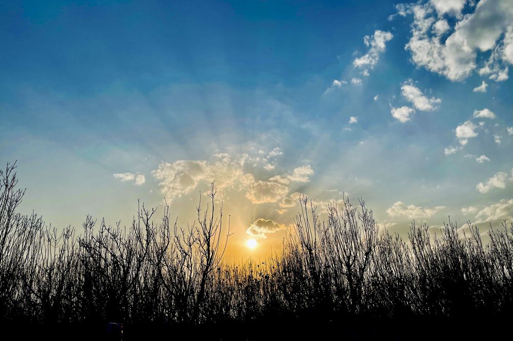 Photograph by Mahnaz Jafari