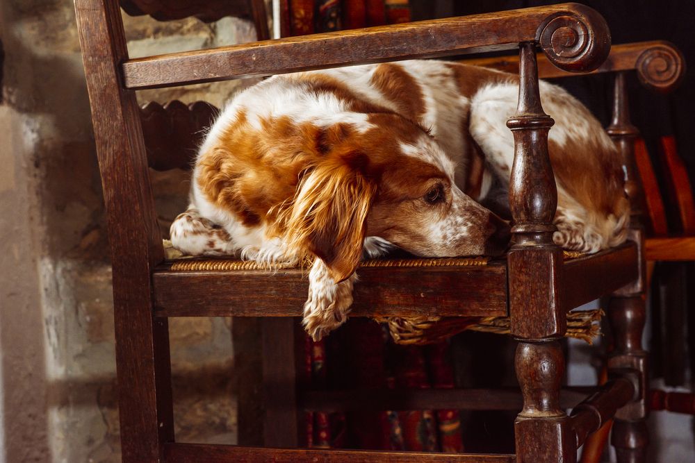 Photograph by Запылаева Анна