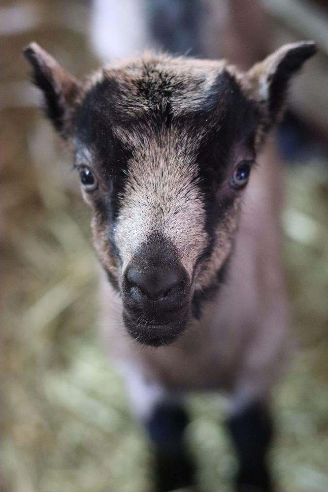 Photograph by Наталья