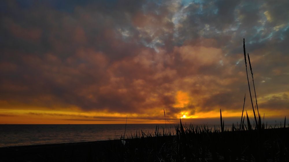 Photograph by Елена