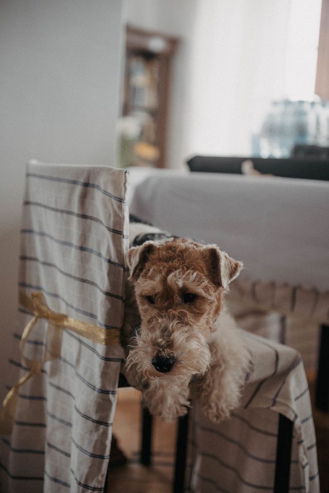 Photograph by Ольга Солодилова