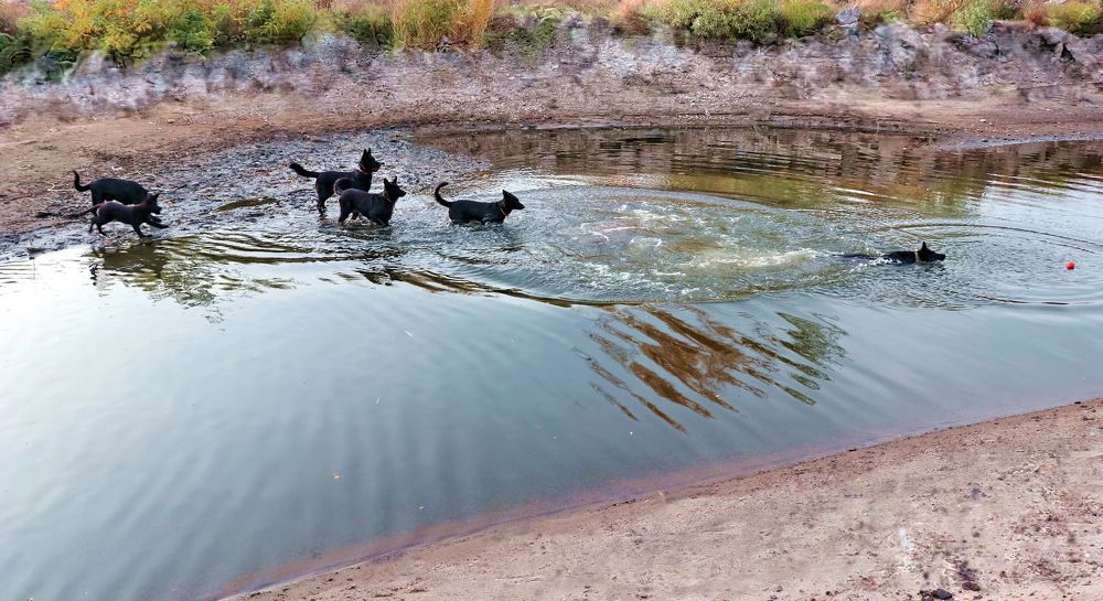 Photograph by Владимир Подкуйко