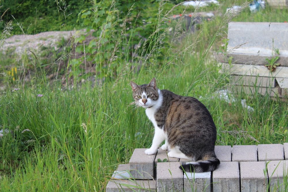 Photograph by Viktor Dikmann