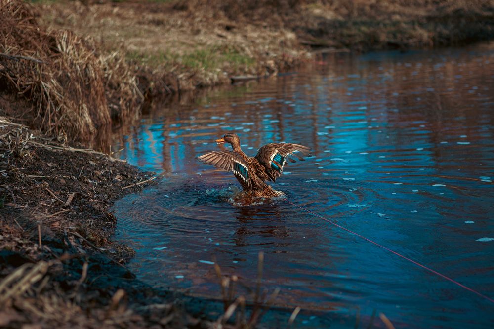 Photograph by Наталья