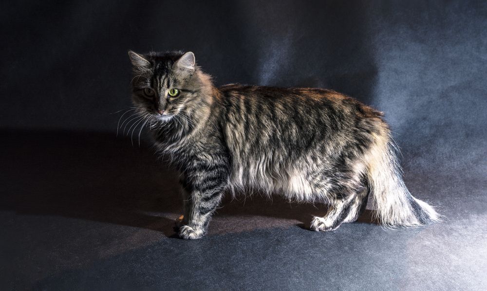 Photograph by Виктор Степанов