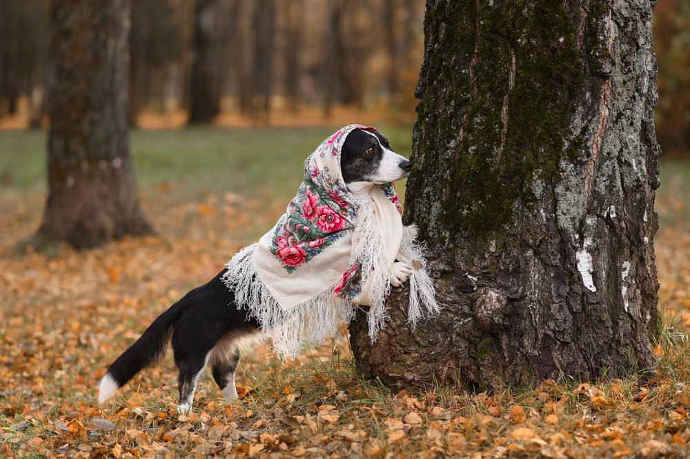 Раиса Петровна