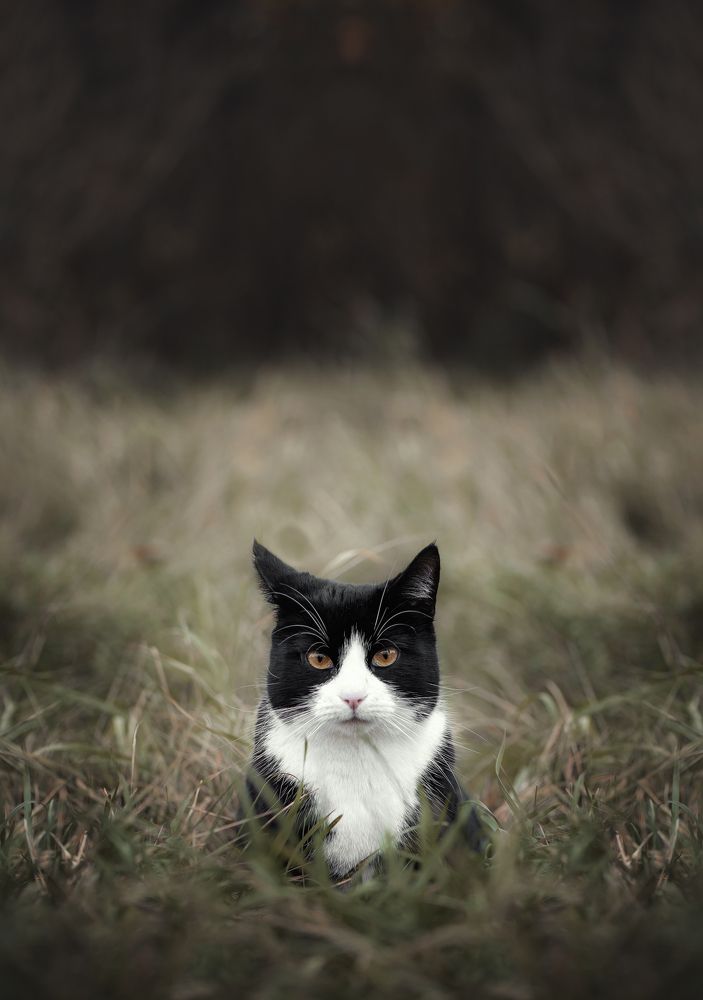 Photograph by Андрей