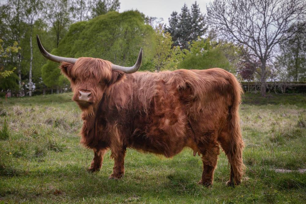 Photograph by Андрей