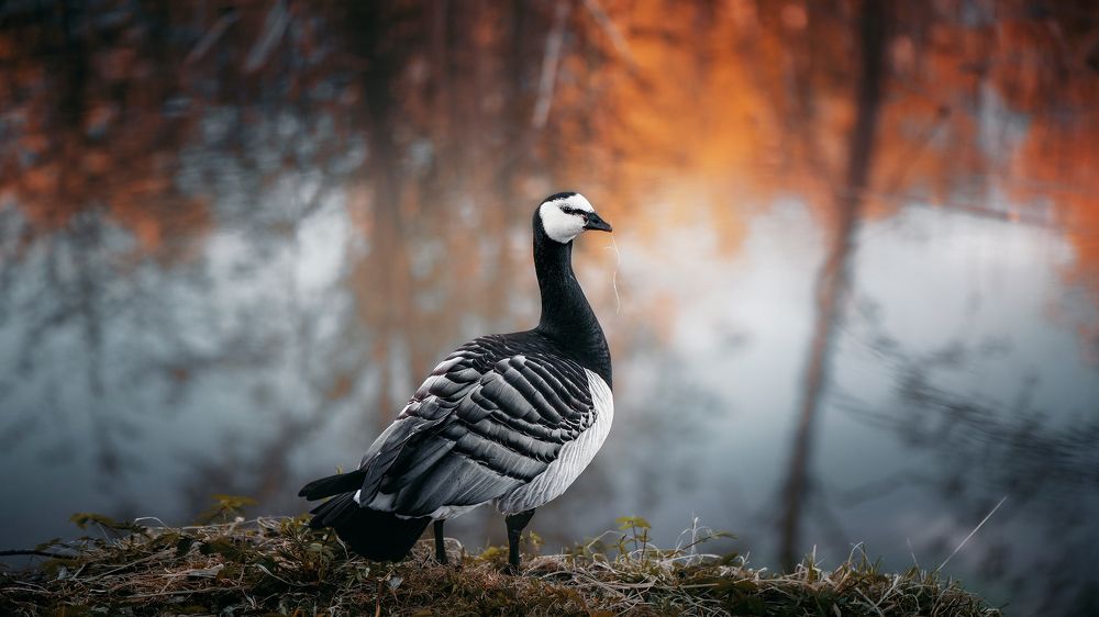 Photograph by Андрей