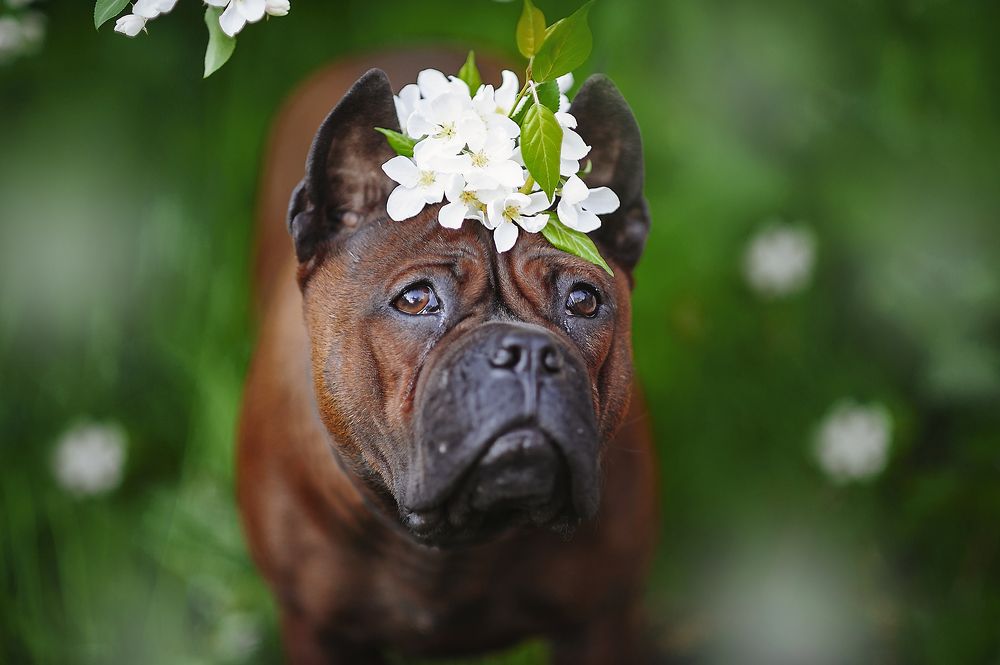 Photograph by Лысенкова Ксения