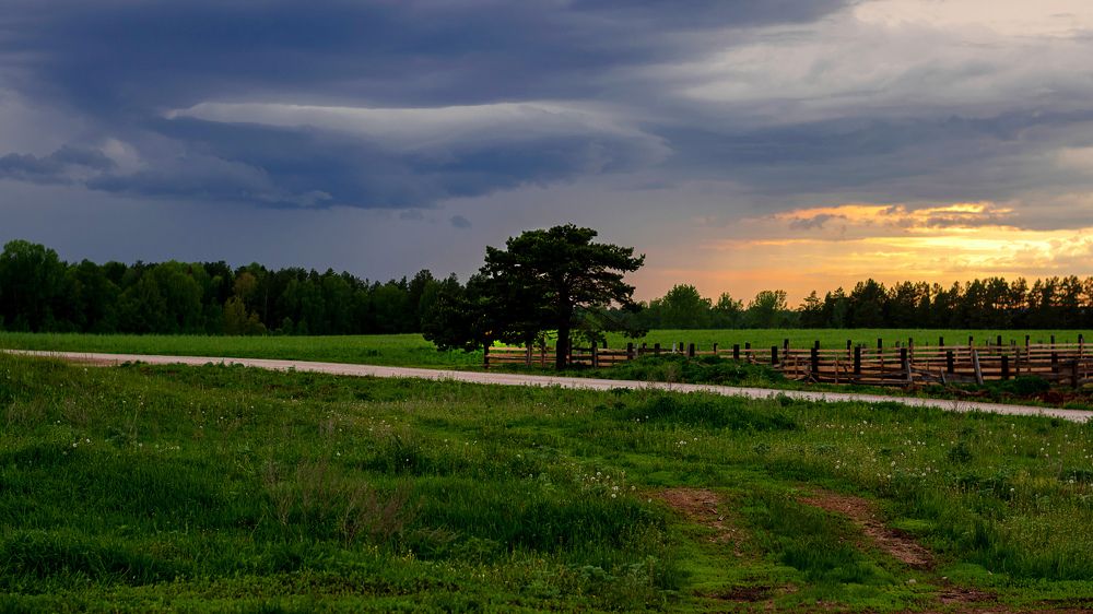 Photograph by Елена Баженова