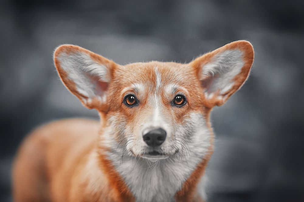 Photograph by Лысенкова Ксения