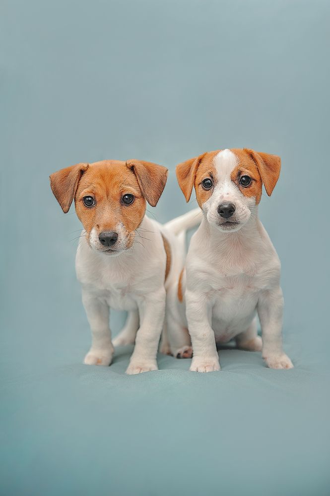 Photograph by Лысенкова Ксения