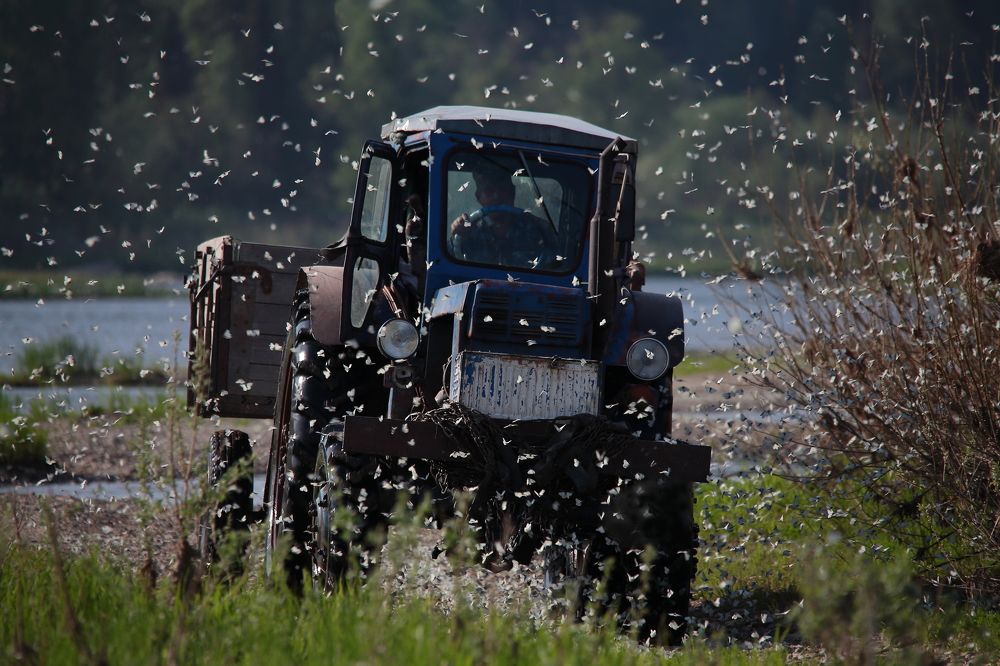 Photograph by Александр Полюдов