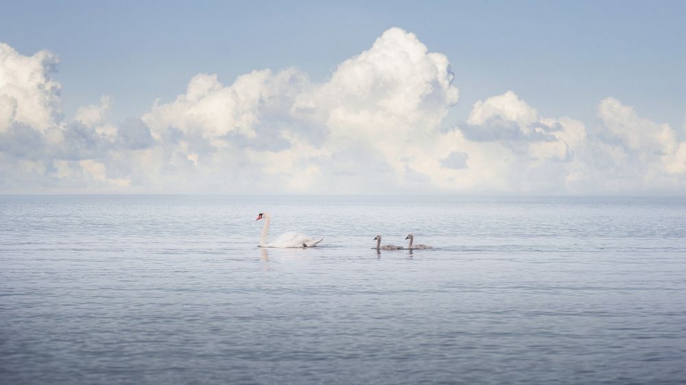 Photograph by Андрей