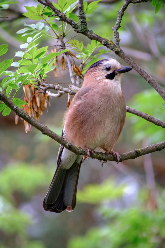Photograph by Сергей Алтуфьев
