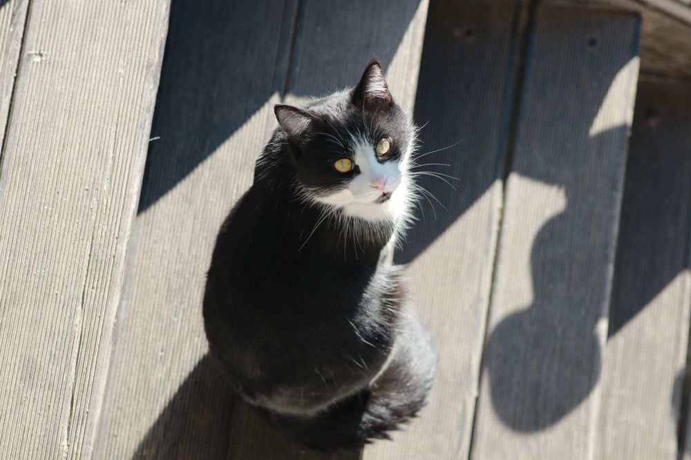 Photograph by Виктория Пономарева