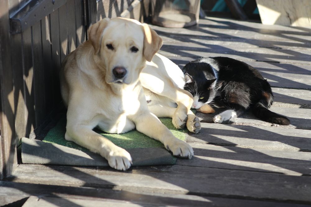 Photograph by Виктория Пономарева