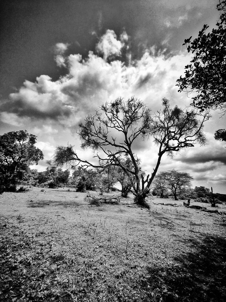 Photo #7645861