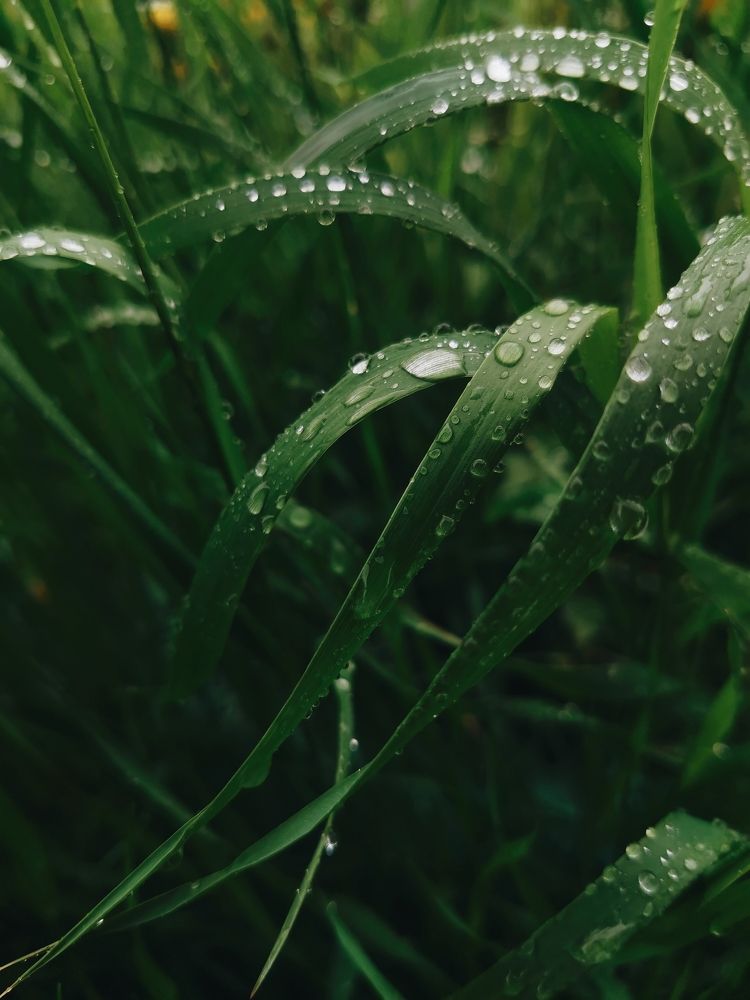 Photograph by Анастасия Ходжер