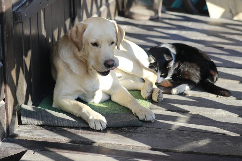 Photograph by Виктория Пономарева