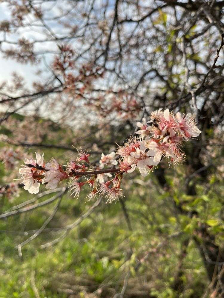 Photograph by Анастасия Медовник