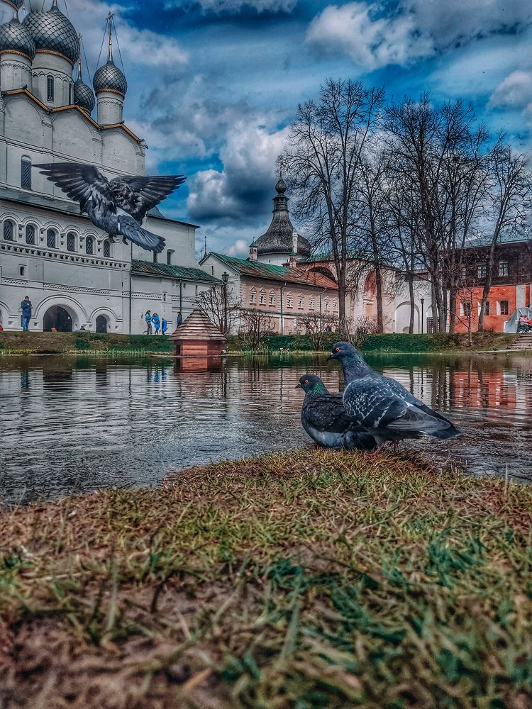 Photograph by Анастасия Гаврилова