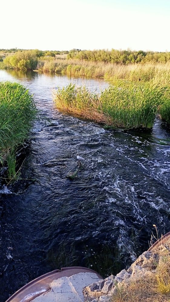 Photo #7645876