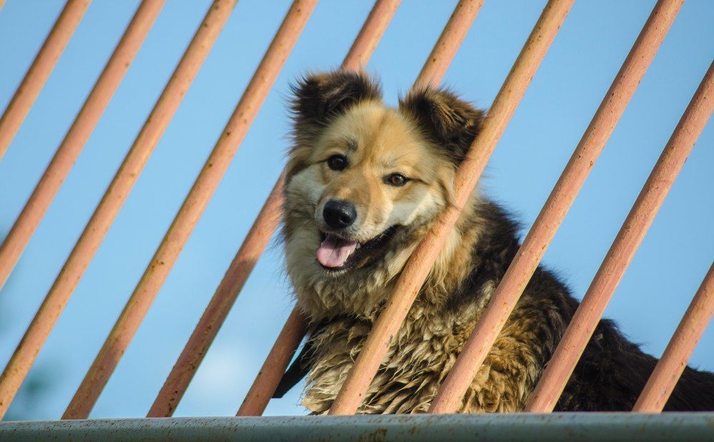 Photograph by Дмитрий Кочетков