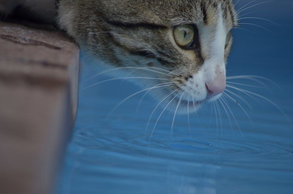 Photograph by Дмитрий Кочетков