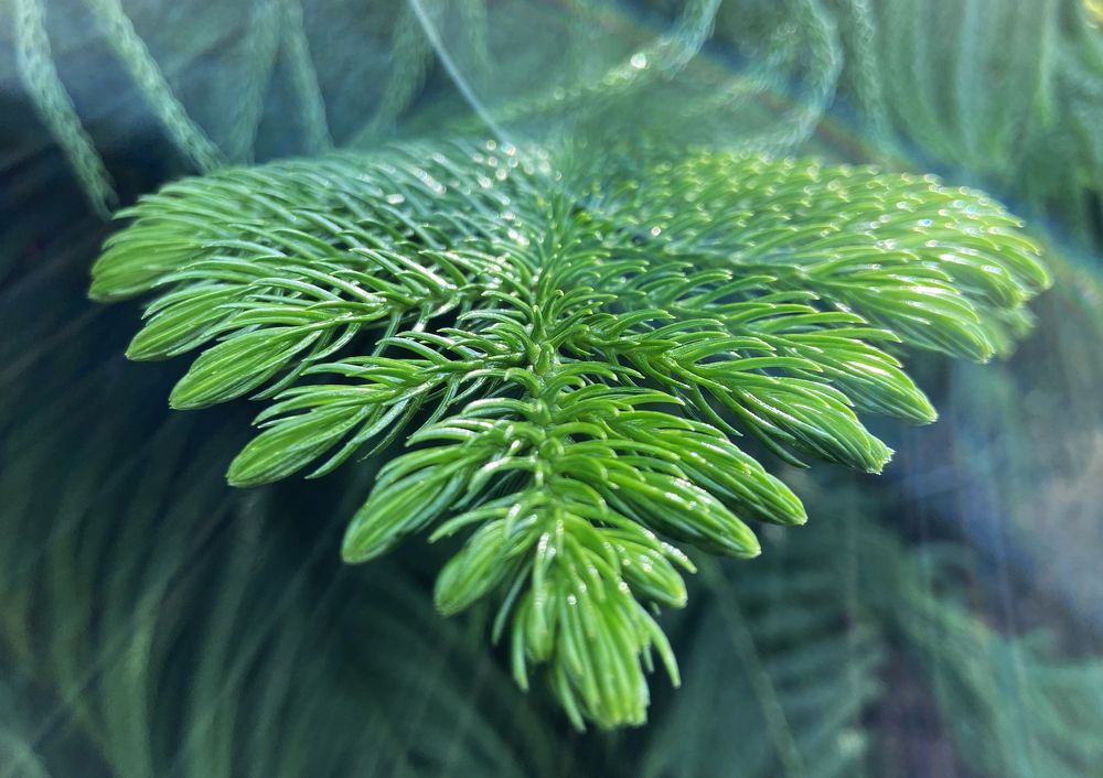 Photograph by Интэро Тиллен