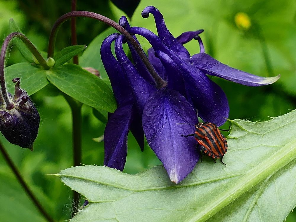 Photograph by Александр Кизим